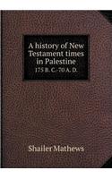 A History of New Testament Times in Palestine 175 B. C.-70 A. D.