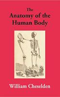 The Anatomy of the Human Body