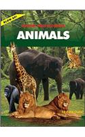 Blow Up! Junior Encyclopedia: Animals