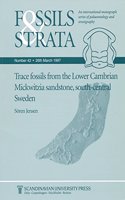 Trace Fossils from the Lower Cambrian Mickwitzia Sandstone, South-Central Sweden: (Fossils and Strata Monograph Series)