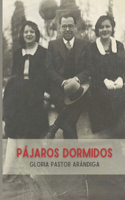 Pájaros Dormidos