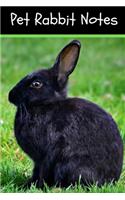 Pet Rabbit Notes: Specially Designed Fun Kid-Friendly Daily Rabbit Log Book to Look After All Your Small Pet's Needs. Great For Recording Feeding, Water, Cleaning & R