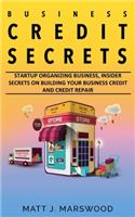 Business Credit Secrets