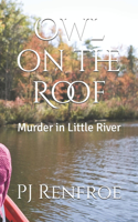 Owl on the Roof: Murder in Little River