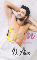Liam: An Age Gap MM Romance Romantic Comedy(3 Men of Magnolia Grove)