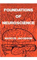 Foundations of Neuroscience