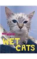 Wet Cats