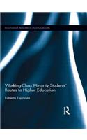 Working-Class Minority Students' Routes to Higher Education