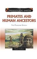 Primates and Human Ancestors