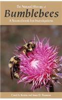 Natural History of Bumblebees