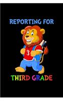 Reporting For 3rd Grade