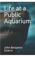 Life at a Public Aquarium