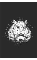 Hamster Drawing