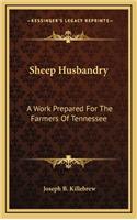 Sheep Husbandry