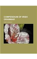 Compendium of Irish Grammar