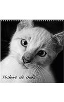 Histoire De Chats 2018