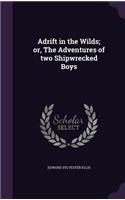 Adrift in the Wilds; or, The Adventures of two Shipwrecked Boys