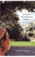 Beyond Memory