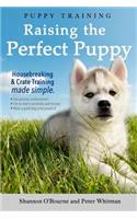 Puppy Training