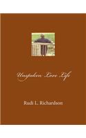 Unspoken Love Life