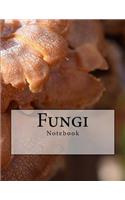 Fungi Notebook