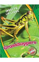 Grasshoppers
