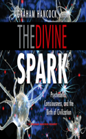 Divine Spark