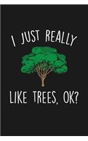 I Just Really Like Trees Ok