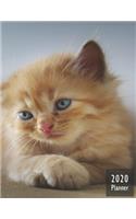 2020 PLANNER Kitten