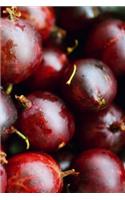 Gooseberries Notebook