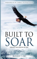 Built To Soar: Unleash Your Talent ...Making Money