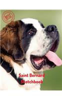 Saint Bernard Sketchbook