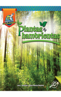 Plantas Hambrientas