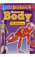 Info Stickers Human Body