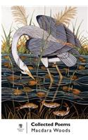Collected Poems: Macdara Woods: (English)