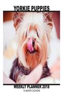 Yorkie Puppiess Weekly Planner 2018: 16 Month Calendar