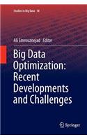 Big Data Optimization: Recent Developments and Challenges