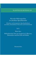 Slavische Mikrosprachen Im Absoluten Sprachkontakt