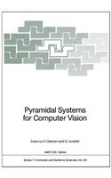 Pyramidal Systems for Computer Vision