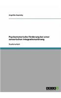 Psychomotorische Förderung bei einer sensorischen Integrationsstörung: (German)