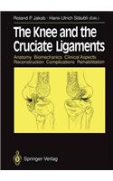 Knee and the Cruciate Ligaments