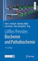 Löffler/Petrides Biochemie Und Pathobiochemie