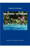 Tauwetter im Herzen: Begegnungen mit göttlichem Liebesfeuer