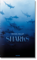 Michael Muller. Requins