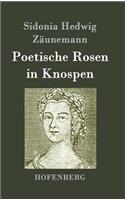 Poetische Rosen in Knospen