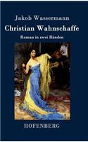 Christian Wahnschaffe: Roman in zwei Bänden(German)