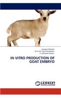 In Vitro Production of Goat Embryo