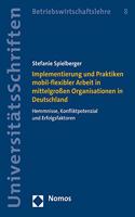 Implementierung Und Praktiken Mobil-Flexibler Arbeit in Mittelgrossen Organisationen in Deutschland: Hemmnisse, Konfliktpotenzial Und Erfolgsfaktoren