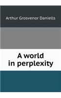 A World in Perplexity