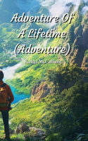 Adventure Of A Lifetime (Adventure)